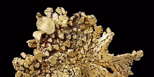 Free Hybrid Lecture: Au: Origins Unearthed