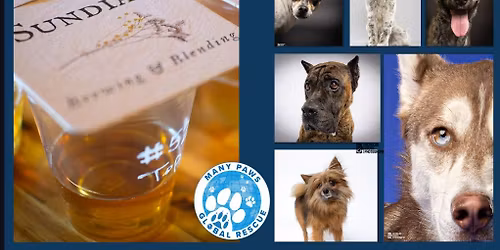 Tap & Tails Adoption Event at Sundial Brewing & Blending