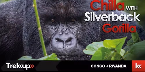 Chilla with Silverback Gorilla | Journey Across Rwanda + Uganda