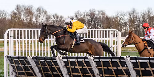 The Virgin Bet Christmas Jumper Raceday