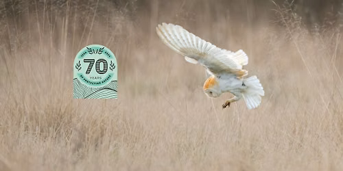Wild Walk - Owlish Observations at Cossington Meadows