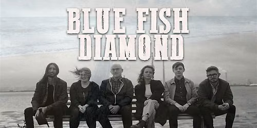 Blue Fish Diamond - Live at The Cat & Cage Folk Club, Dublin 27\/01\/27