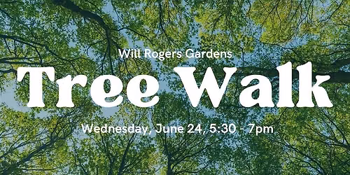 Tree Walk @ Will Rogers Park
