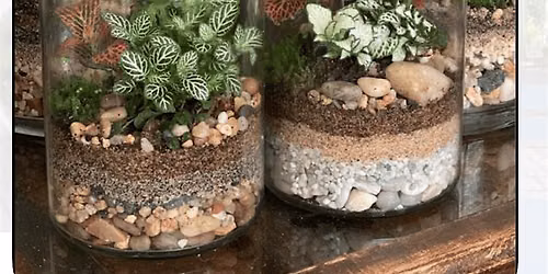 Terrarium Workshop EDH