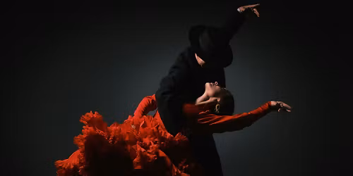 Flamenco Arts International