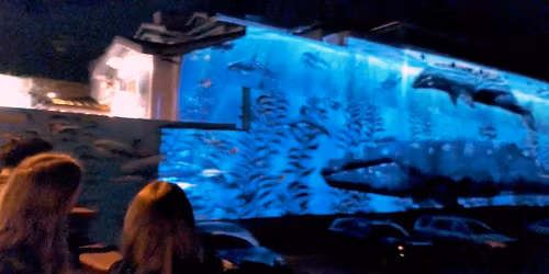 Experience the Ocean in Motion \u2014 Wyland\u2019s Illuminated Mural Returns!