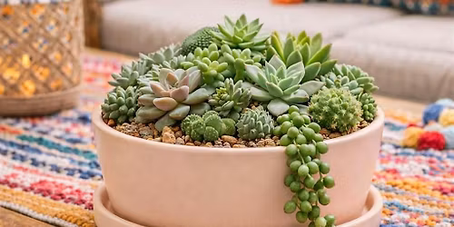 Saturday Sip & Succulents Workshop