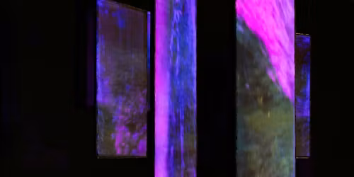 The Auxiliary Presents Nik Void, Daisy Dickinson + MSHR