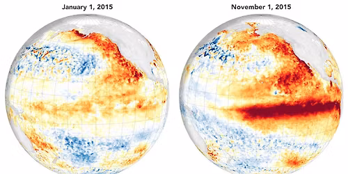 Droves, My Reply, Long Cold Stare, Following Seas