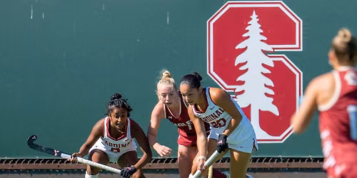 Boston College at Stanford Cardinal Womens Volleyball at Maples Pavilion
