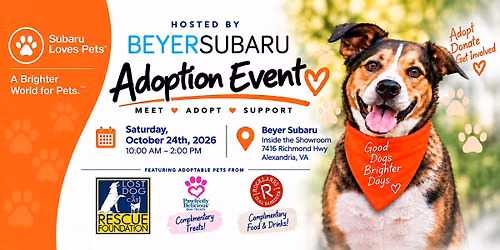 Beyer Subaru Loves Pets - Lost Dog Adoption
