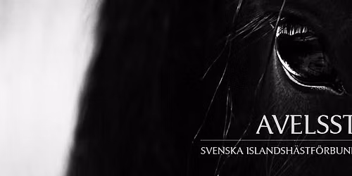 SIF och SIF Avels gemensamma h\u00f6stm\u00f6te och Islandsh\u00e4stgala