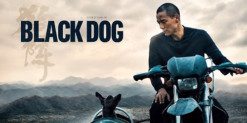 BLACK DOG (China, 2024)