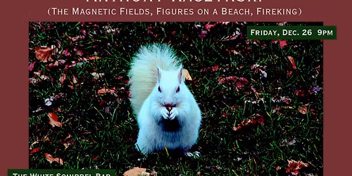 Anthony Kaczynski (The Magnetic Fields, Figures on a Beach, Fireking), Paperbacks, King Sized Coffin