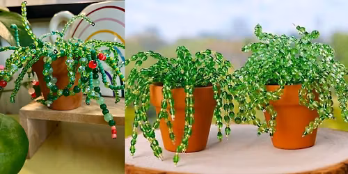 Beaded plants