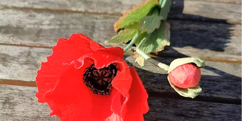 Crepe Paper Poppy Making Workshop