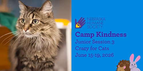 SOLD OUT - Camp Kindness Junior Session 3: Crazy for Cats