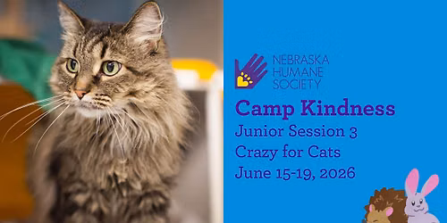 SOLD OUT - Camp Kindness Junior Session 3: Crazy for Cats