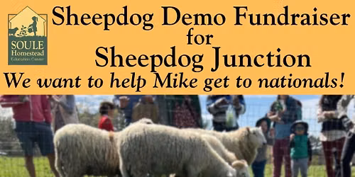 8.29.26 - Sheep Dog Demo Fundraiser for Sheepdog Junction at SHEC