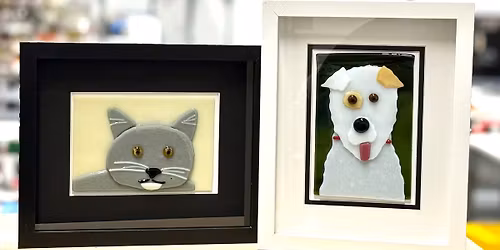 Pet Portrait Workshop