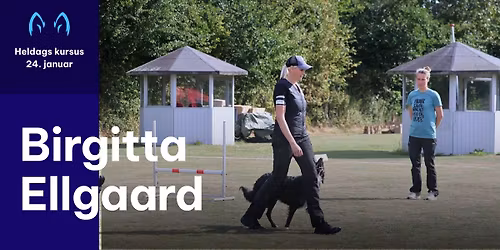 Heldags lydighedskursus med Birgitta Ellgaard - 24. januar