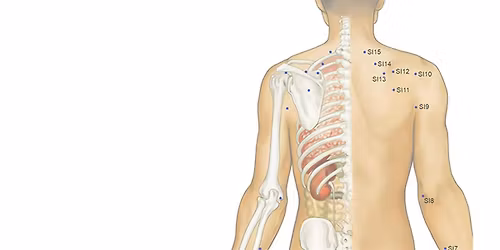 Take Home TCM: Head, Neck & Shoulder Acupressure