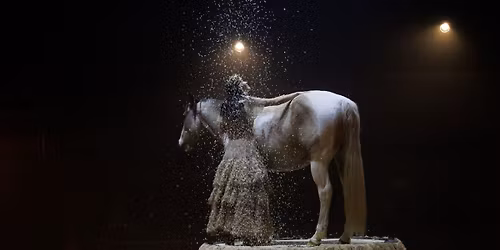 Spectacle | Zusammen | Cie EquiNote