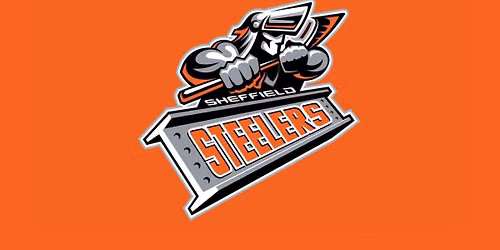 Steelers v Blaze
