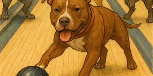 Pins for Pets, Round IV