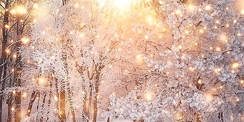 IWIRC Virginia Holiday Party