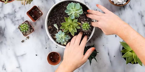 Succulent Workshop
