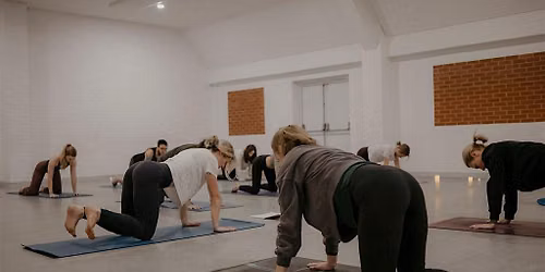 Free Community Beginners Yoga Class
