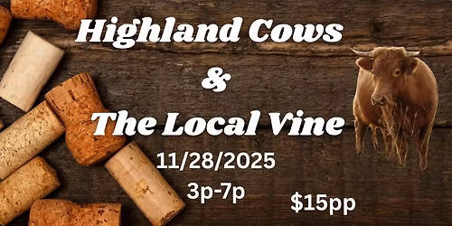 Highland Cows and The Local Vine