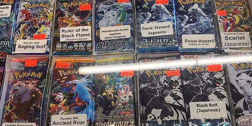 Woodstock Pok\u00e9mon And TCG Show