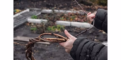 Willow Wreath Workshop in Y Nyth 