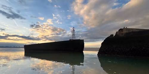 Guided walk to view the Mulberry harbour. 