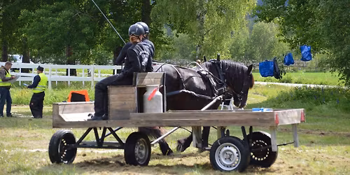 Bruksheststevne p\u00e5 N\u00f8kleberget travbane