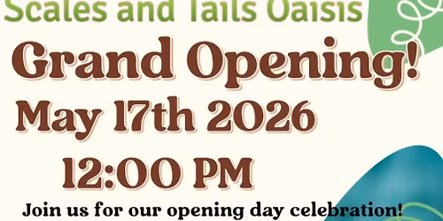 Grand Opening 