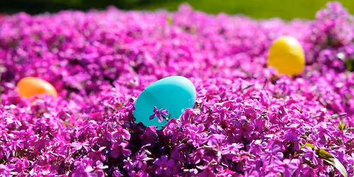 Titusville Congregation Easter Activity