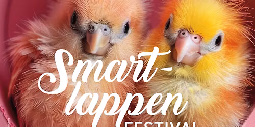 Smartlappen Festival