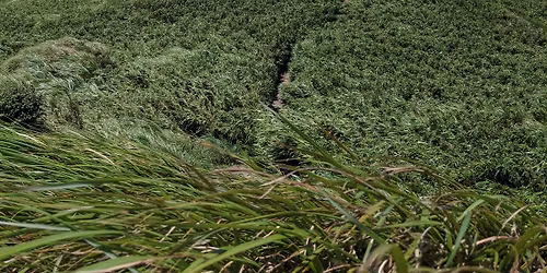 \u93df\u6cb9\u7df4\u8d70C\u8a08\u756b \u967d\u660e\u5c71\u897f\u90e8\u5927\u7e31\u8d70\u4e94\u9023\u5cf0