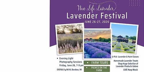 Lavender Festival Days