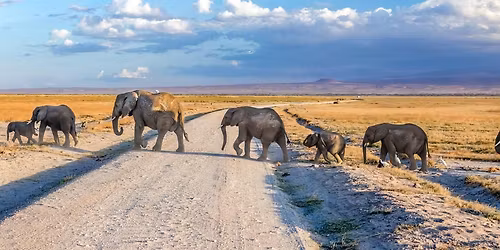 EXPLORE THE WORLD BY COACH