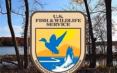 Story Time with a Park Ranger