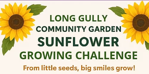 BENDIGO SUNFLOWER GROWING CHALLENGE