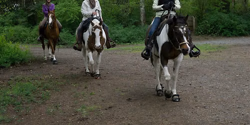 Elk\/Beaver Equestrian Society Membership 2026