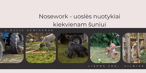 Seminaras. Nosework - uosl\u0117s nuotykiai kiekvienam \u0161uniui