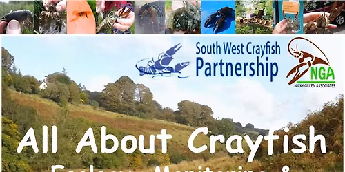 All About Crayfish