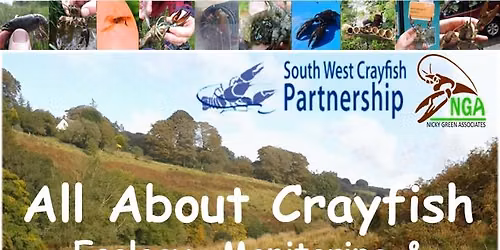 All About Crayfish