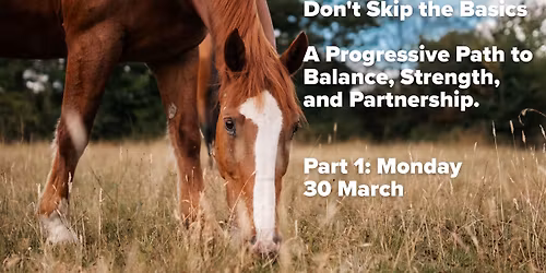 Don't Skip the Basics, A Progressive Path to Balance, Strength and Partnership - Part 1